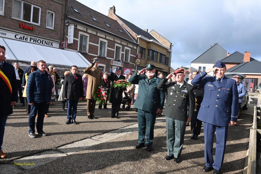 Terugblik 11 november © Gaston Pulinckx