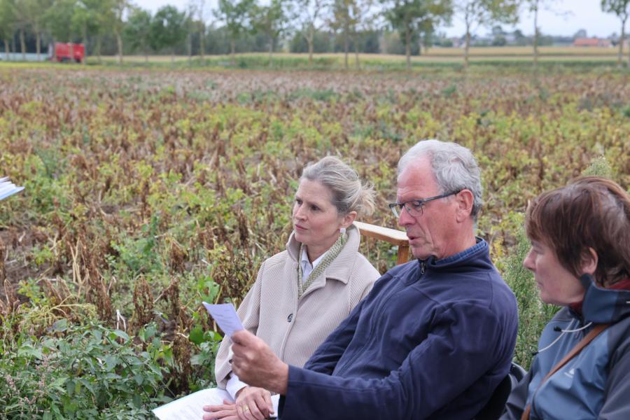 Herinwijding kapel van O.L.V. van Smarten in Zwevezele 