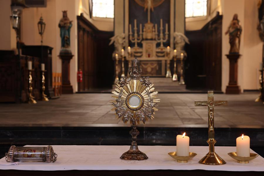 Sint-Aldegondisnoveen in de kerk van Zwevezele - Lof en ommegang 