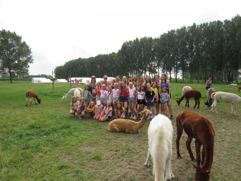 KLJ-Diepenbeek trok naar de Alpaca-boerderij in Lokeren 