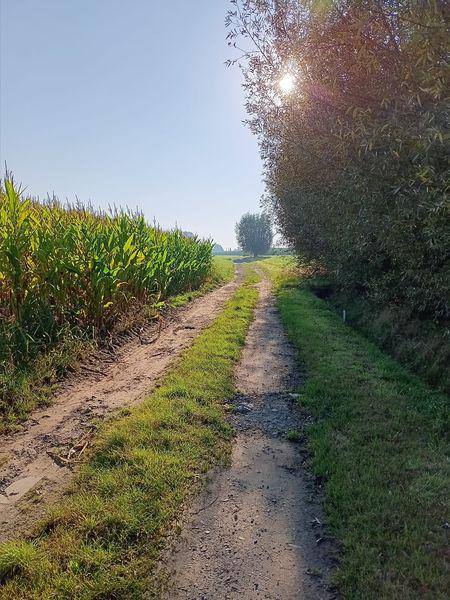 Terug een gerenoveerde kapel te Zwevezele 
