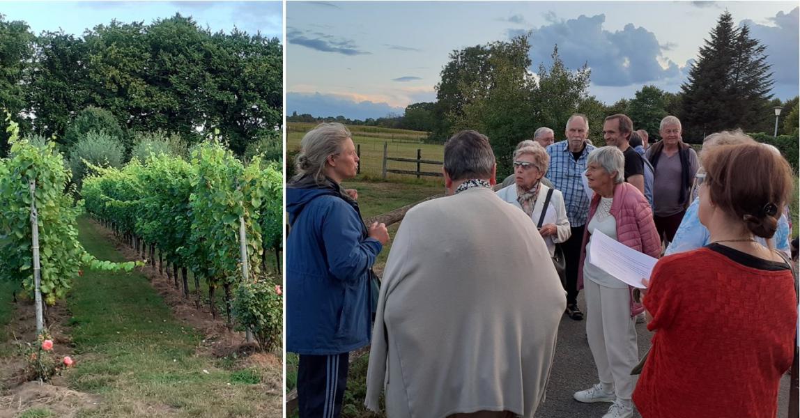 Wees geprezen Heer, door onze zuster moeder aarde, die ons voedt en leidt! © RB Attent