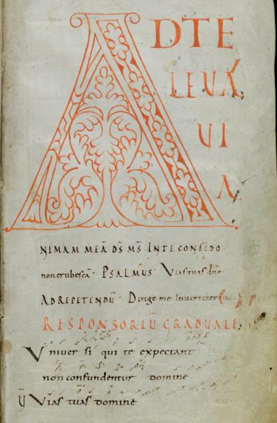 Liturgie in de praktijk: Boeken, gebeden en muziek 
