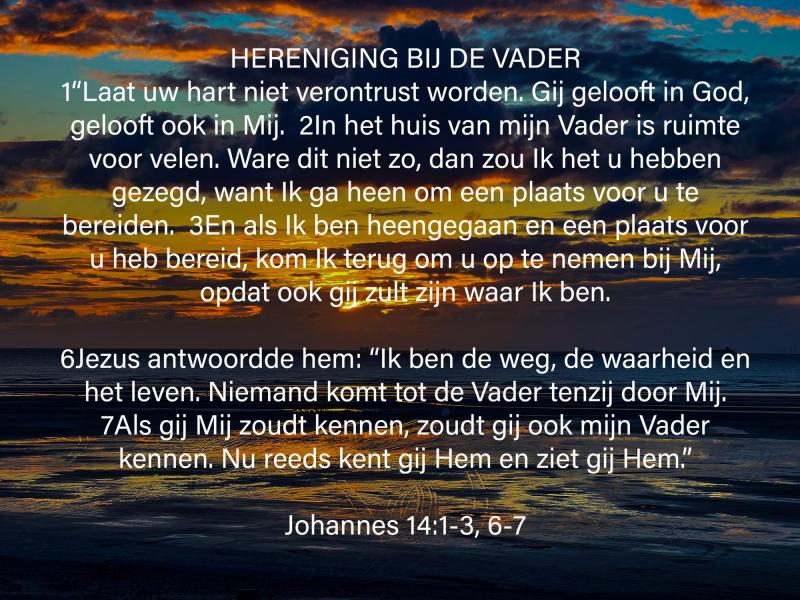 Uit Johannes op foto met mooi licht © Chris De Groote