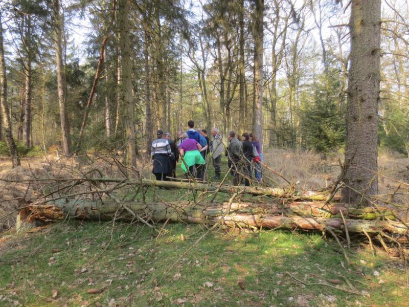 wandelen op de heide 