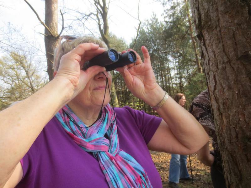 wandelen op de heide 