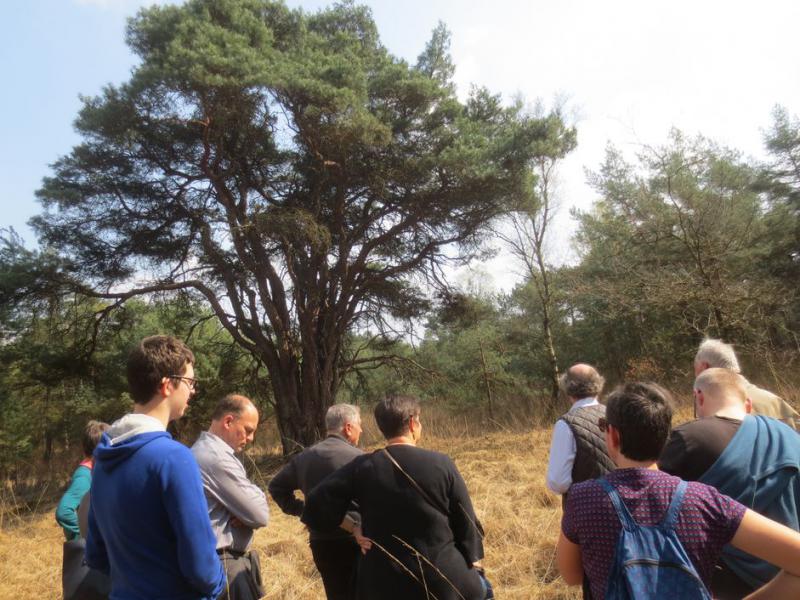 wandelen op de heide 