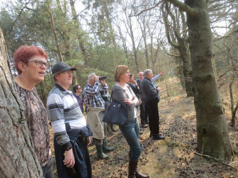 wandelen op de heide 