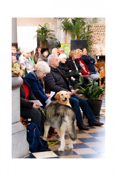 Dierenzegening 2025 5 © @statimvisum