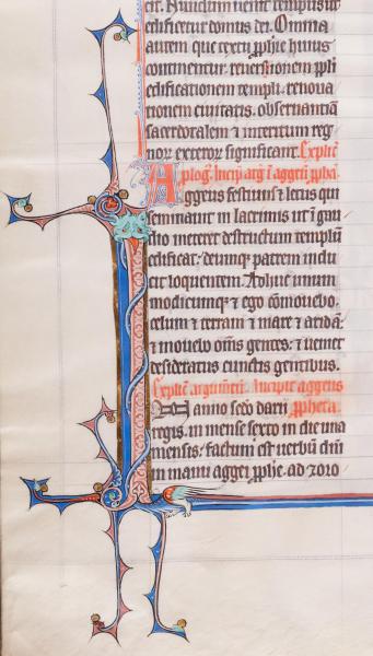Monsterlijke figuren in de marge. Archief Grootseminarie Brugge, Ms. 5/191, fol. 220v. © stad Brugge