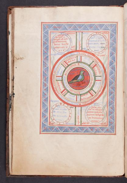 De Avibus (AGSB, Ms. 89/54, fol. 15v) © Stad Brugge