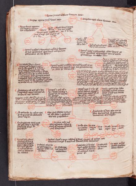 Tabel uit het 13de-eeuwse manuscript van Ibn Butlan (AGSB, Ms. 94/65, fol. 96v) © stad Brugge