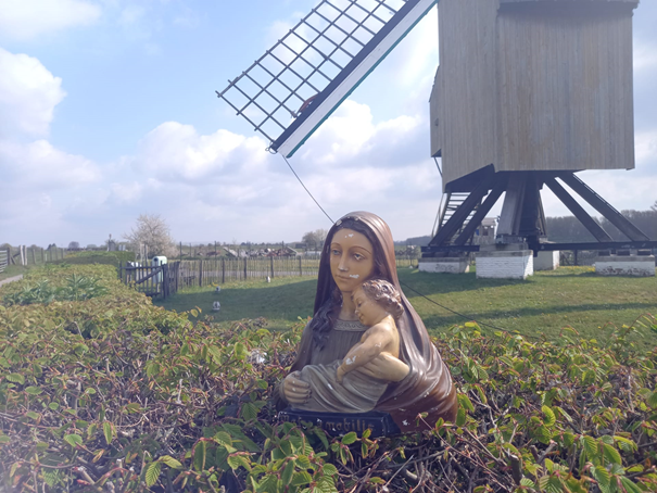 woensdag 12 mei 2021: Appelterre © Alexander Vandaele
