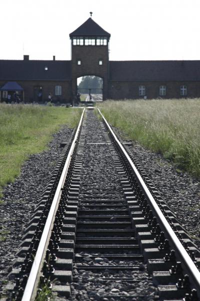 Birkenau © Luc Devriese