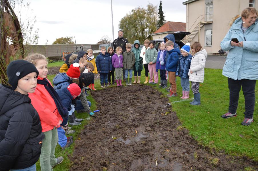 Klassen uit basisscholen in Hoogleden trokken eropuit om 1.375 bloembollen te planten. © Frans Demuynck
