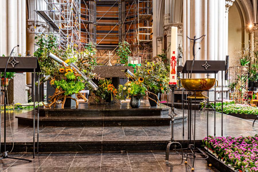 bloemen 2022 12  © Frans Verweft 