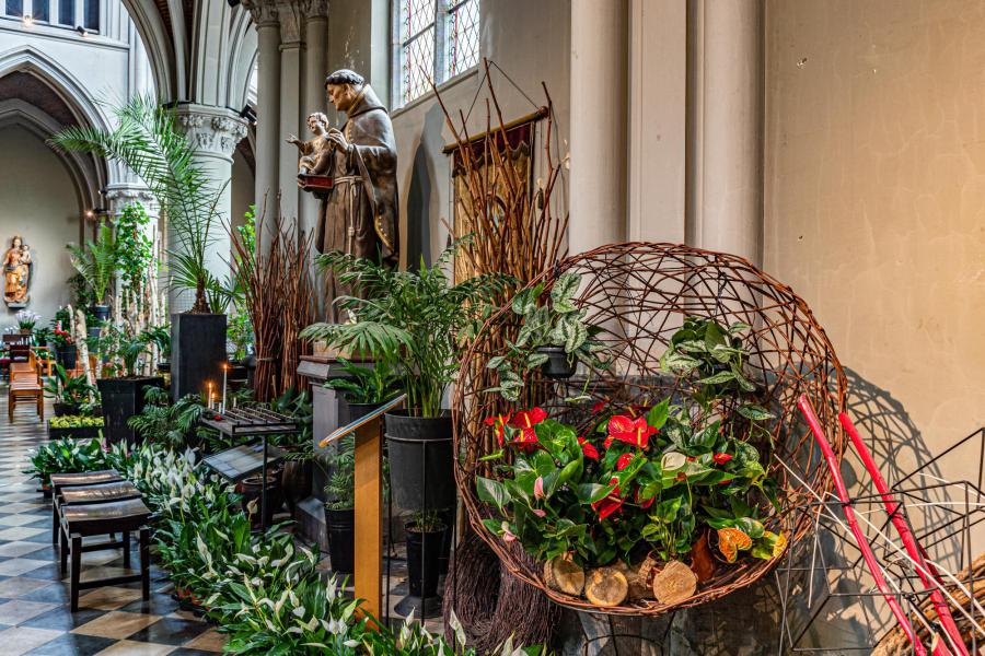 Bloemen 2022 15 © Frans Verweft 