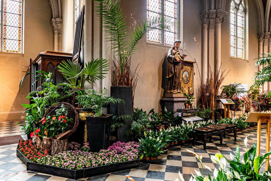 Bloemen 2022 16 © Frans Verweft 