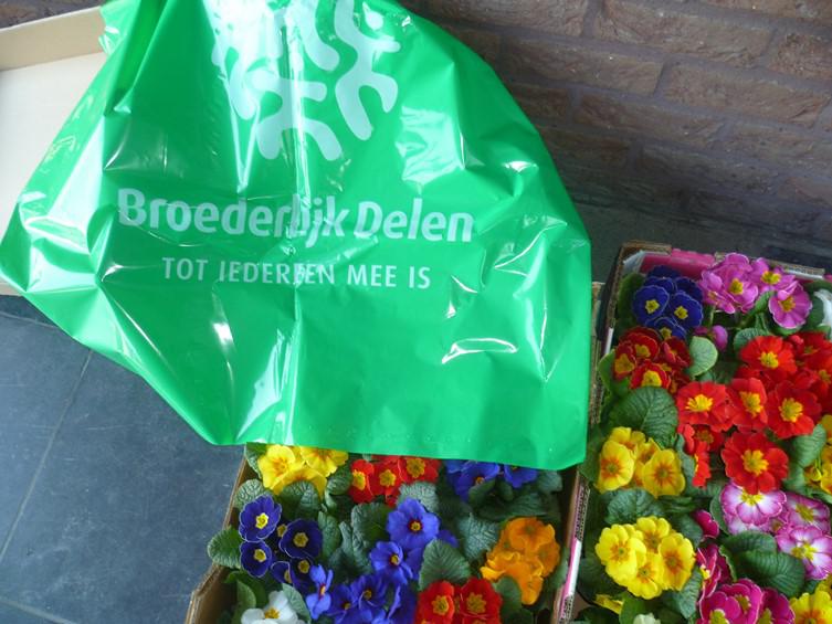 Vormelingen Rooierheide verkoop bloemetjes tvv Broederlijk Delen 