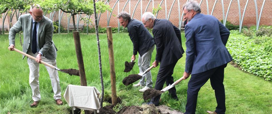 Boomplanting in Mechelen © NRV-SP