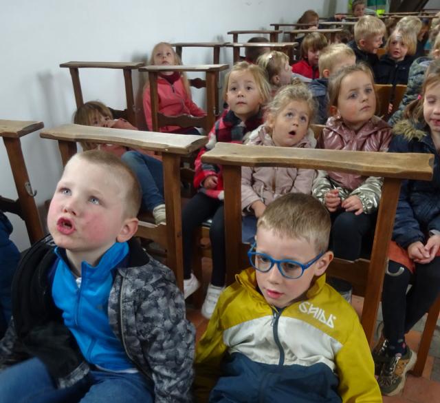 Bosvriendje © Onze-Lieve-Vrouw Lichtaart