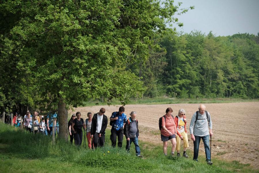 Bedevaart naar Onze Lieve Vrouw van Basse-Wavre 2025 © Pastorale zone Leuven aan de Dijle