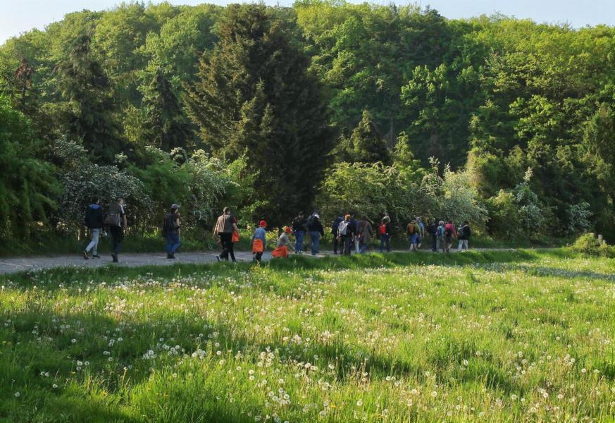 Het bos echode van gebed en gezang terwijl de groepen het Weesgegroet in vele talen deelden © Pastorale zone Leuven aan de Dijle
