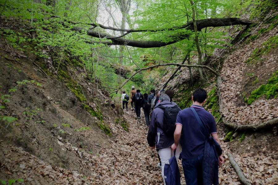 Bedevaart naar Basse-Wavre 2023 © Pastorale zone Leuven aan de Dijle