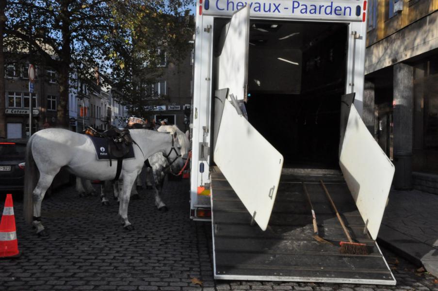 Sint-Hubertusviering met dierenzegening © Daniël Duwyn