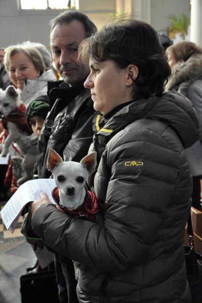 Sint-Hubertusviering met dierenzegening © Daniël Duwyn