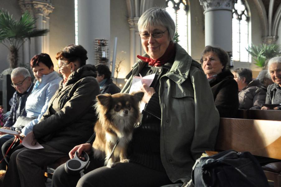 Sint-Hubertusviering met dierenzegening © Daniël Duwyn