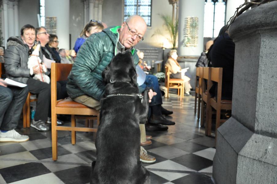 Sint-Hubertusviering met dierenzegening © Daniël Duwyn