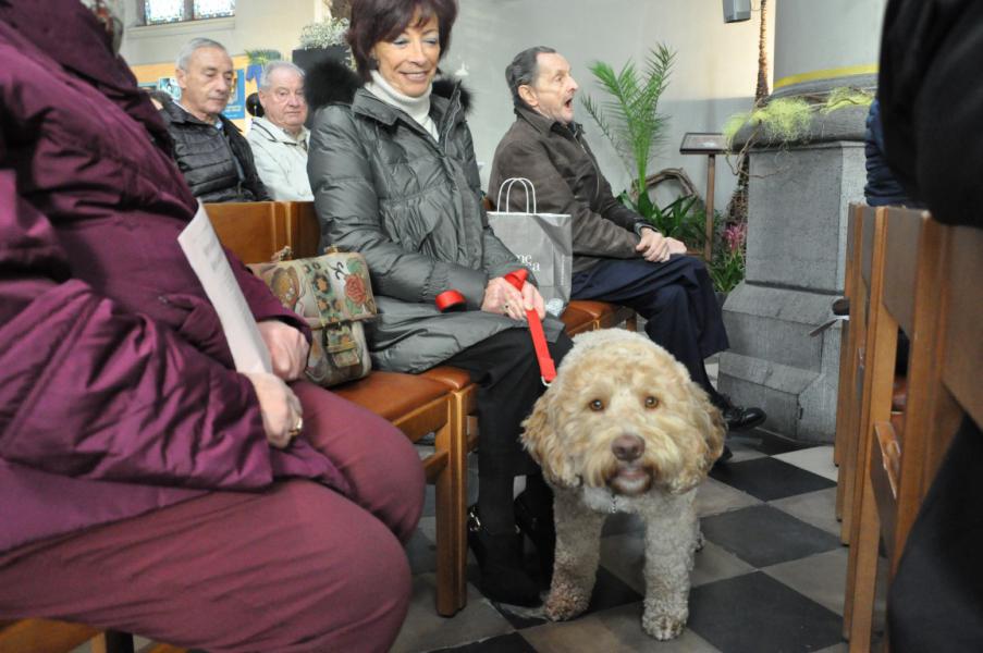 Sint-Hubertusviering met dierenzegening © Daniël Duwyn