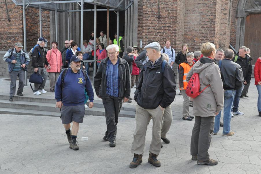 Bedevaart naar Halle © Daniël Duwyn