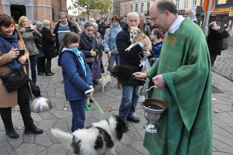 Sint-Hubertusviering met dierenzegening © Daniël Duwyn