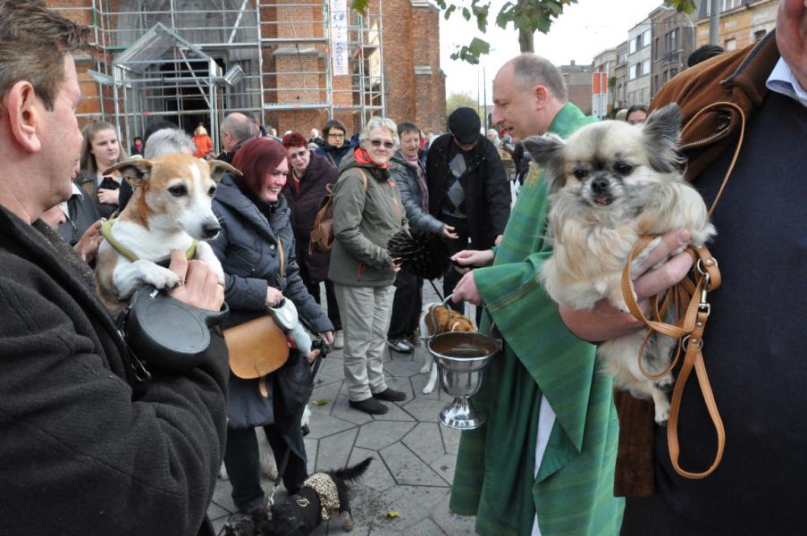 Sint-Hubertusviering met dierenzegening © Daniël Duwyn