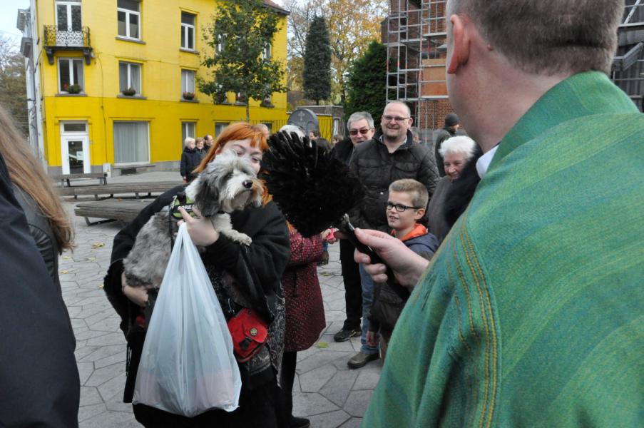 Sint-Hubertusviering met dierenzegening © Daniël Duwyn