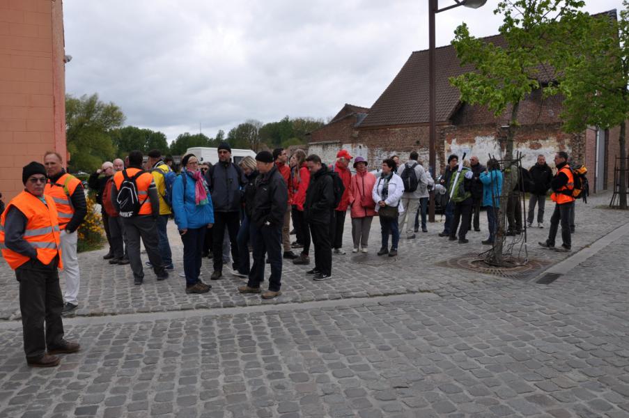 Bedevaart naar Halle © Daniël Duwyn