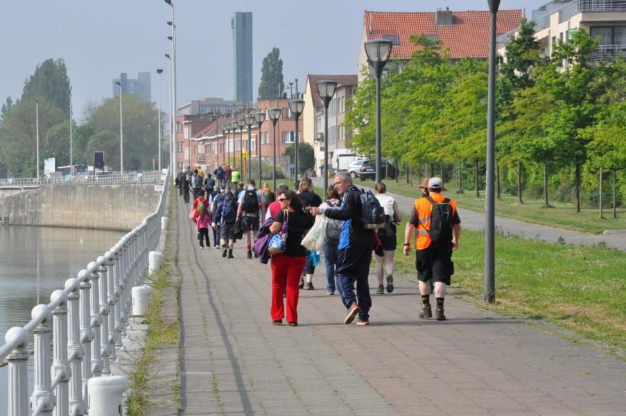 Bedevaart naar Halle © Daniël Duwyn