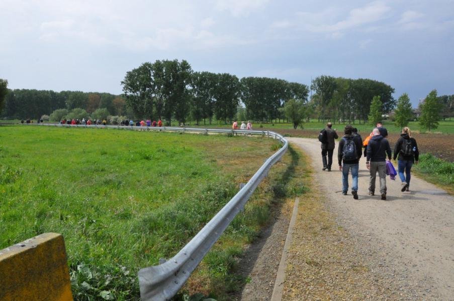 Bedevaart naar Halle © Daniël Duwyn