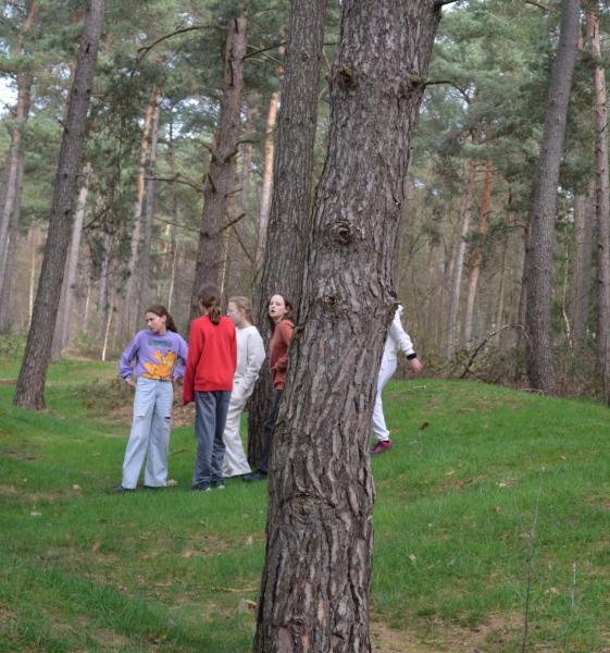 In de bossen tussen groen 