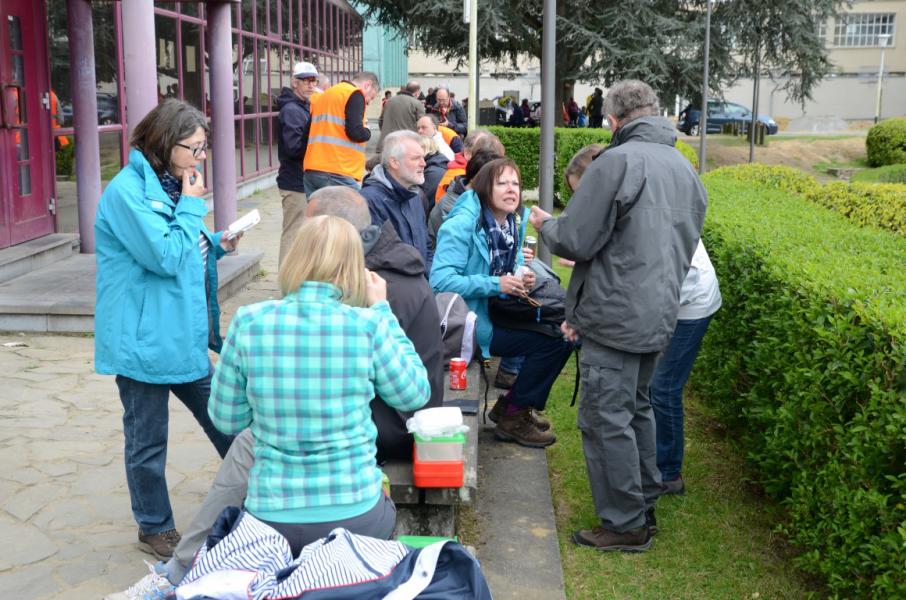 Bedevaart naar Halle © Luc Lioen