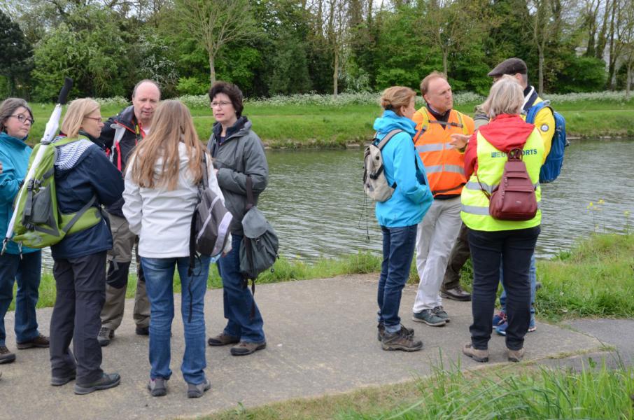 Bedevaart naar Halle © Luc Lioen