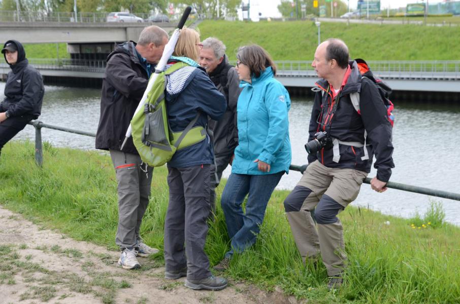 Bedevaart naar Halle © Luc Lioen