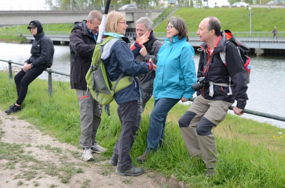 Bedevaart naar Halle © Luc Lioen