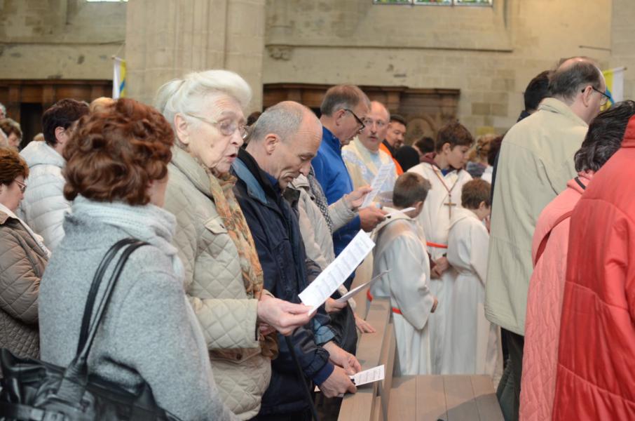 Bedevaart naar Halle © Luc Lioen