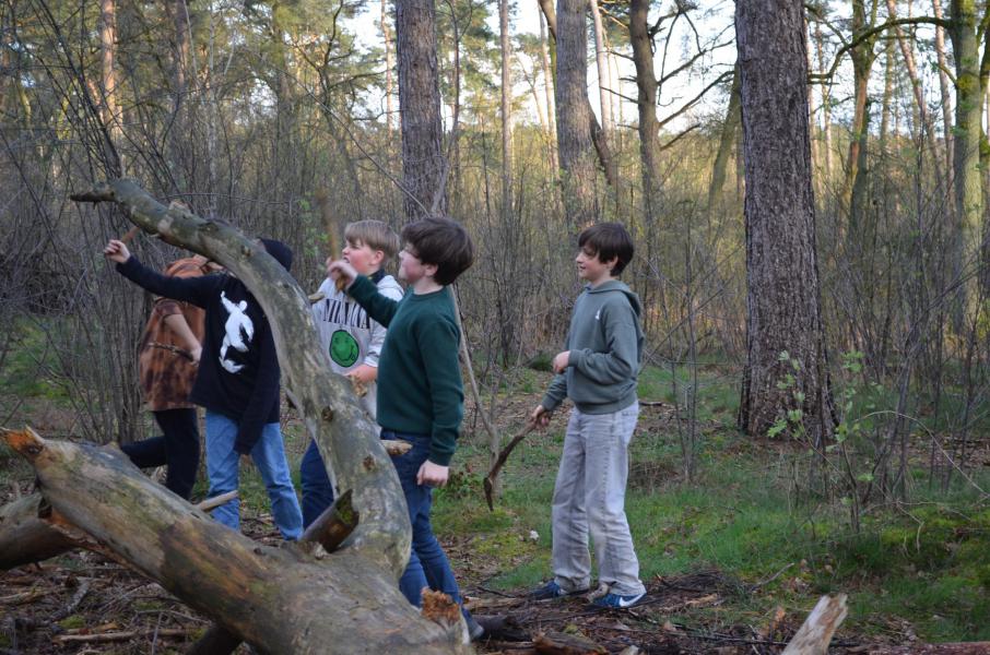 Creatief in het bos 