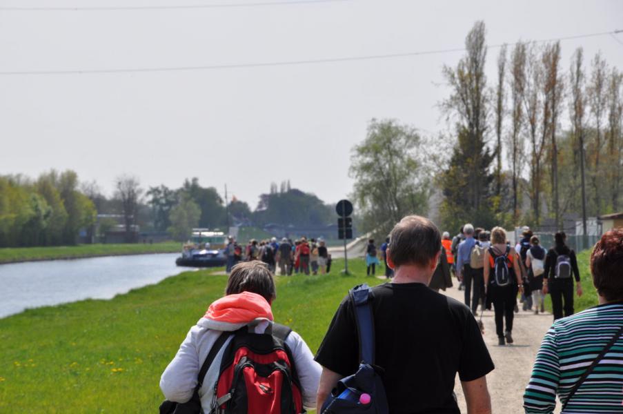 Bedevaart naar Halle © Daniël Duwyn