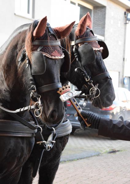 Paardenzegening op Sint-Elooisfeest 