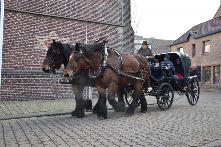 Paardenzegening op Sint-Elooisfeest 